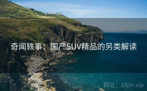 奇闻轶事：国产SUV精品的另类解读
