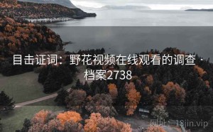 目击证词：野花视频在线观看的调查 · 档案2738