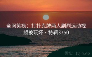 全网笑疯：打扑克牌两人剧烈运动视频被玩坏 · 特辑3750