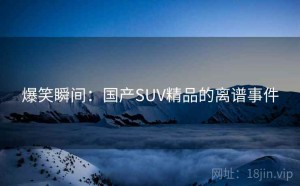 爆笑瞬间：国产SUV精品的离谱事件