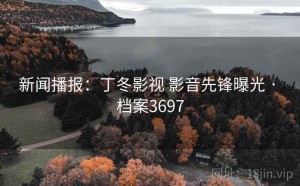 新闻播报：丁冬影视 影音先锋曝光 · 档案3697