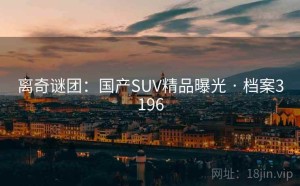 离奇谜团：国产SUV精品曝光 · 档案3196