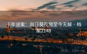 千年谜案：向日葵视频至今无解 · 档案2148