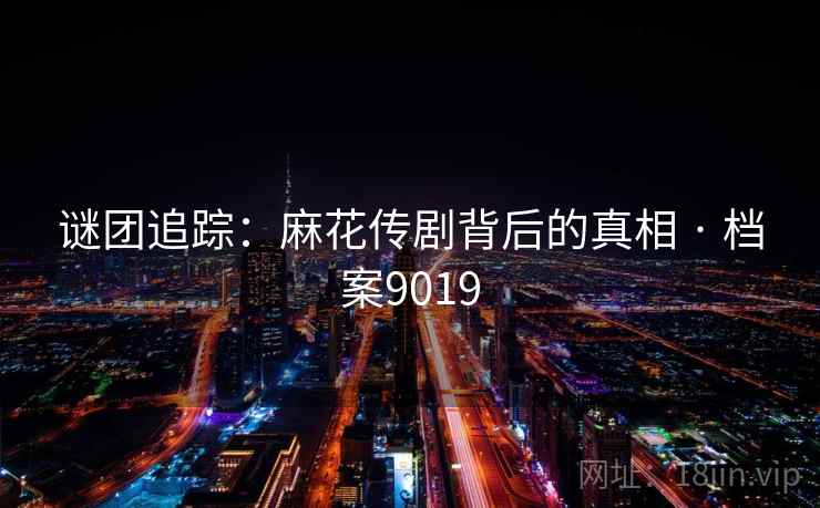 谜团追踪：麻花传剧背后的真相 · 档案9019