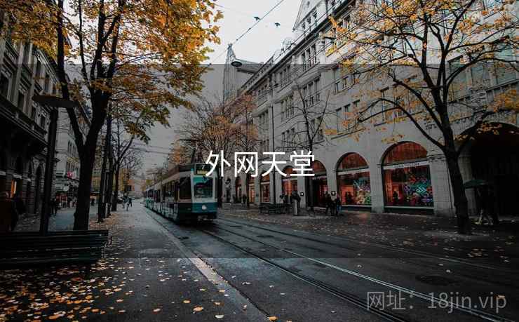 外网天堂