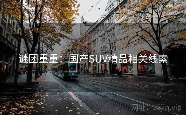 谜团重重：国产SUV精品相关线索